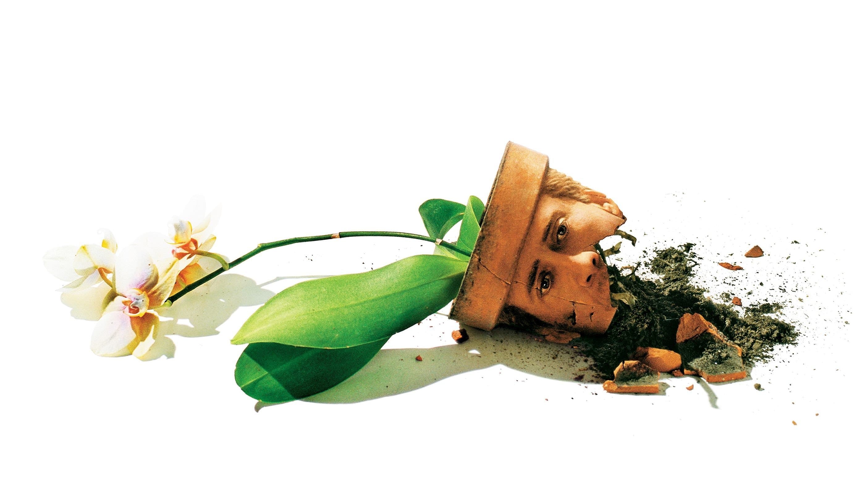 Movie Background Image